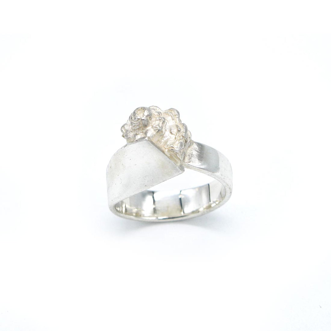 Shell. Silver ring