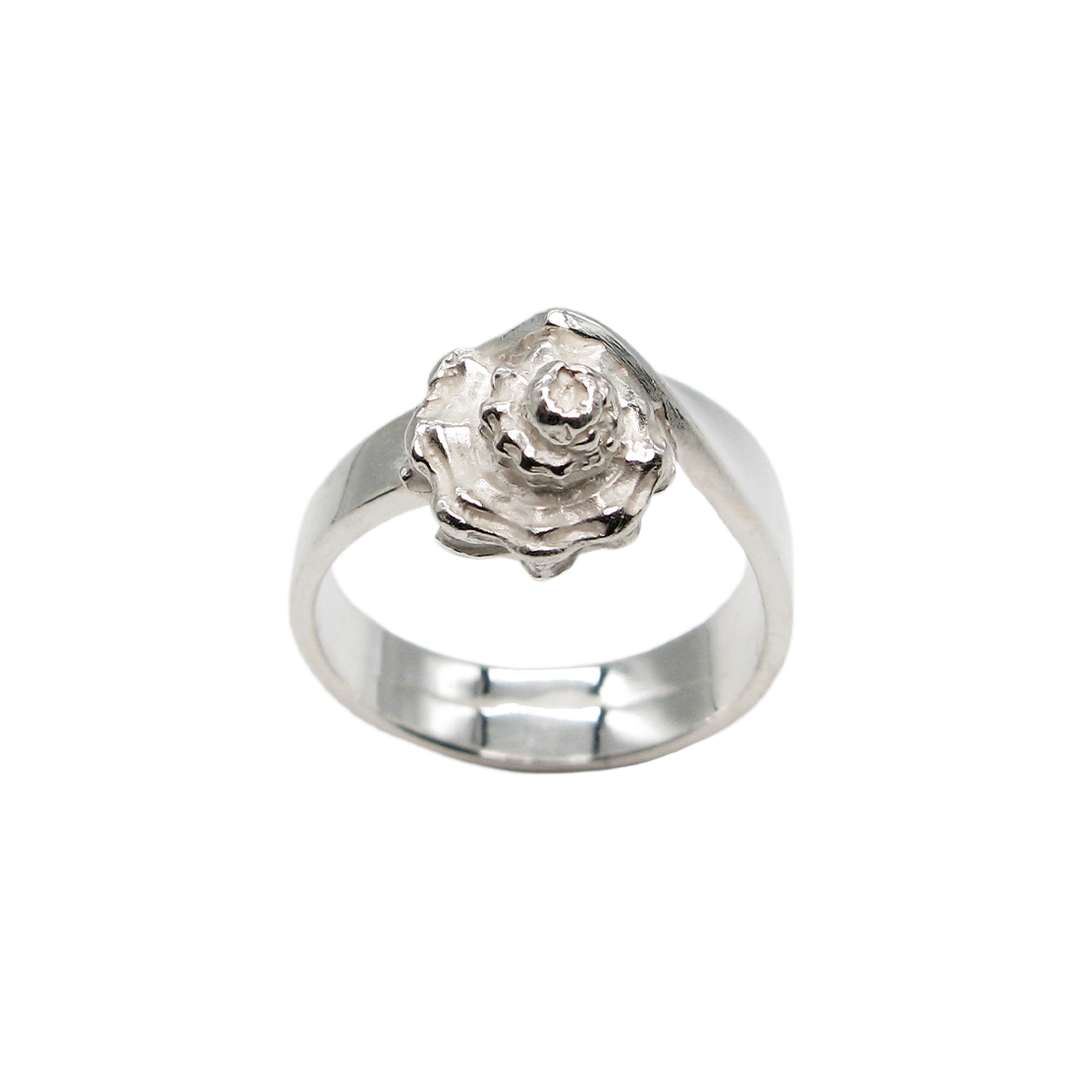 Shell. Silver ring