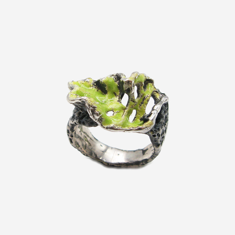 Moss